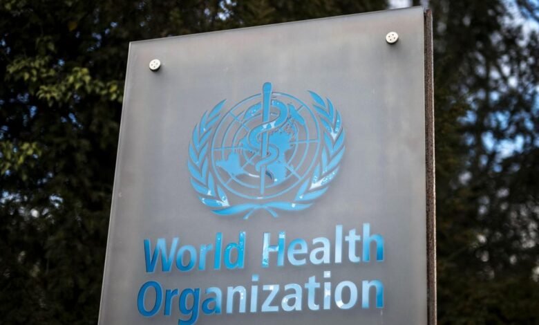 WHO warns of more hantavirus cases in 'limited' outbreak