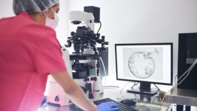 What the AMH test tells you about your fertility and what it does not