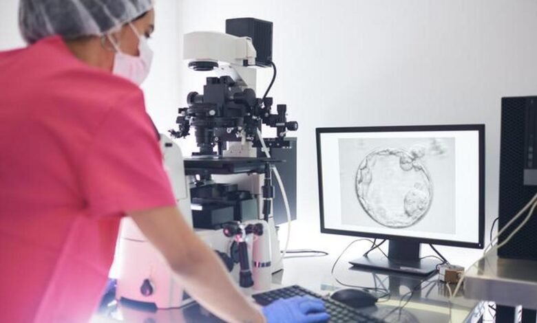What the AMH test tells you about your fertility and what it does not