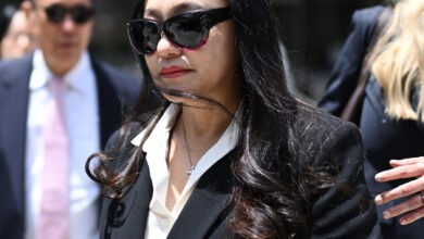 The Ex-Mayor of Arcadia, Her Boyfriend and the Chinese Government