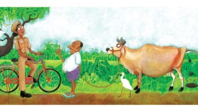Illustrations by Priya Kuriyan on display at Bengaluru’s Lightroom
