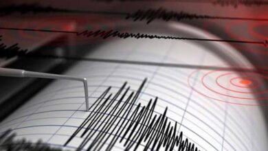 Moderate quake hits Himachal districts; tremors felt in neighbouring States